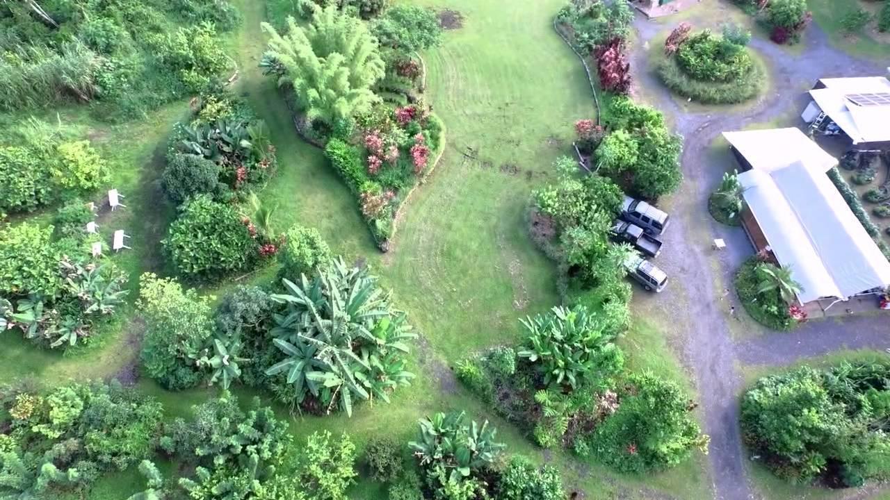 Hawaiian Sanctuary Eco Retreat Center Villa Pahoa Bagian luar foto